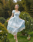 Cinderella-Kleid